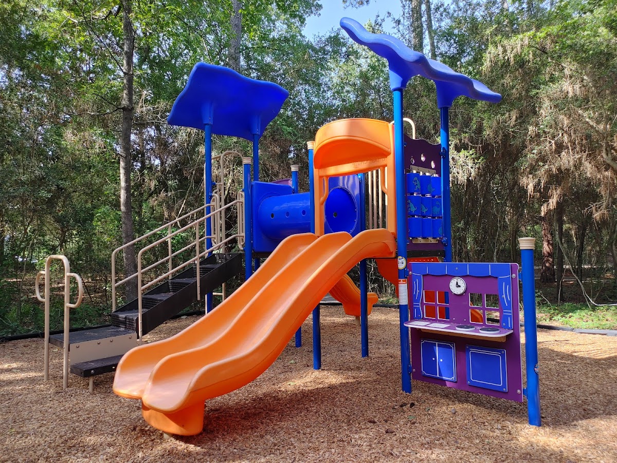 Tamarac Park of The Woodlands - Photo 1