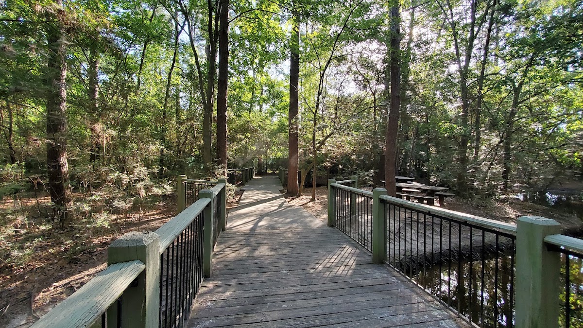 Tamarac Park of The Woodlands - Photo 2
