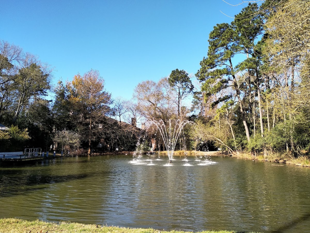 Tamarac Park of The Woodlands - Photo 3