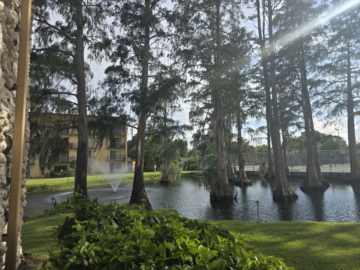 Tampa Racquet Club Tennis Courts - Photo 2