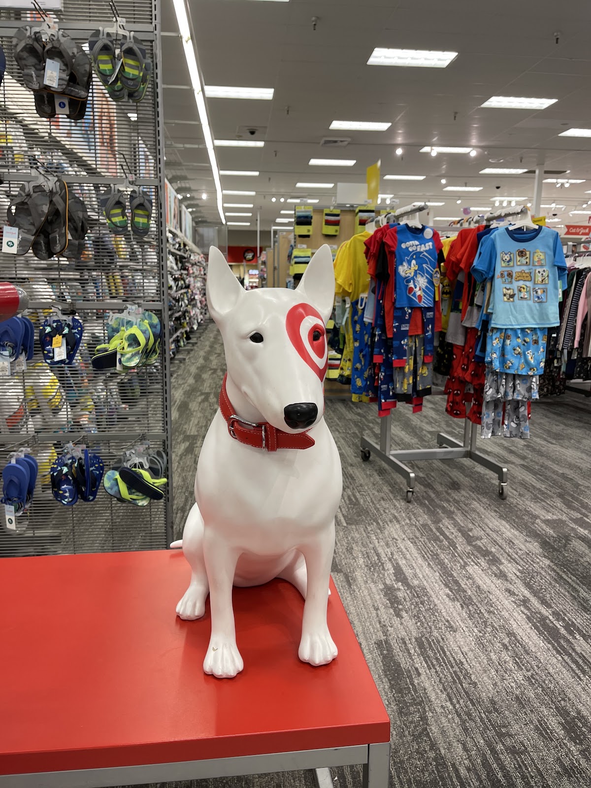 Target - Photo 3