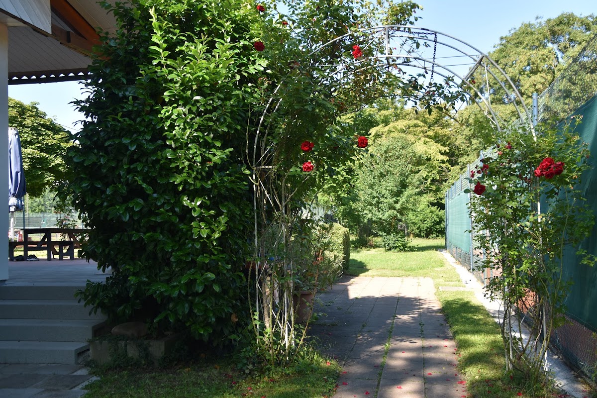 TC Grünwinkel - Photo 2