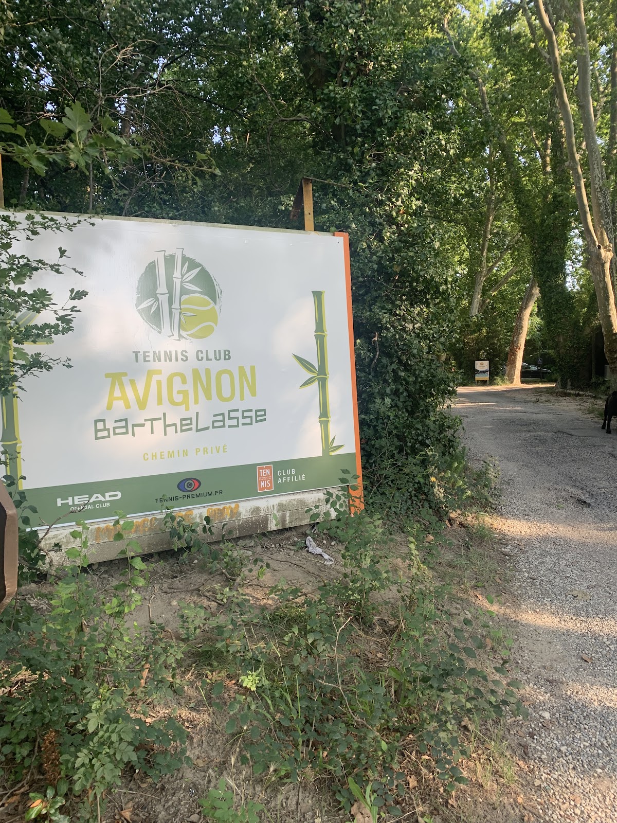 TENNIS CLUB AVIGNON BARTHELASSE - Photo 3