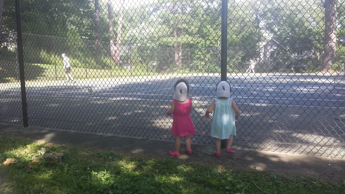 Tennis Court - Lynnbrook - Photo 2