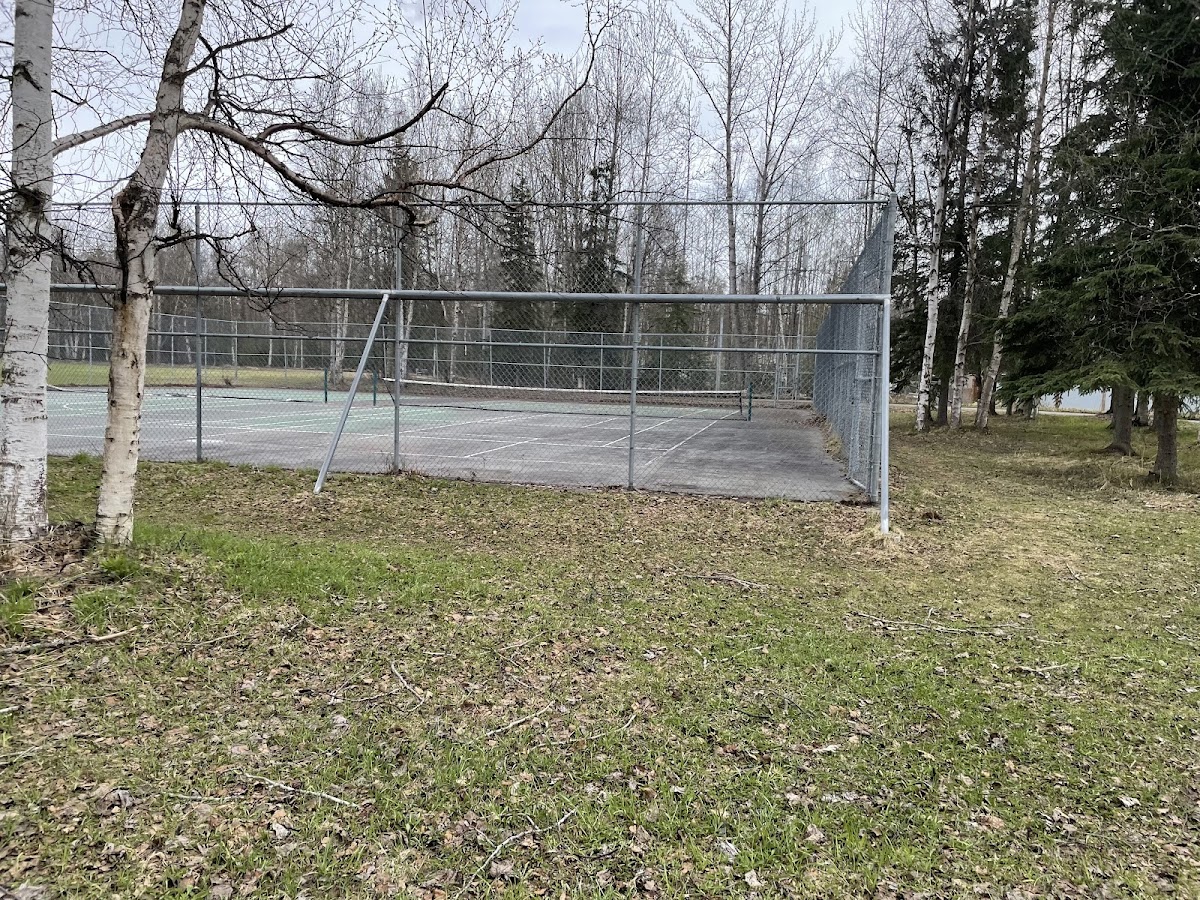 Tennis Courts - Photo 1