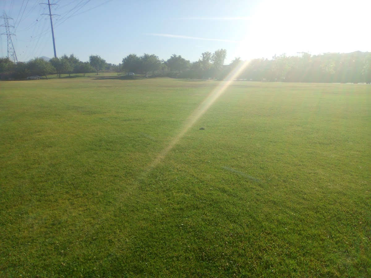Tennis Courts - Photo 3