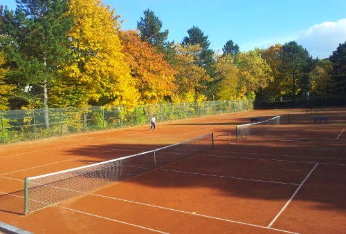 Tennis- u. Hockeyclub am Forsthof e. V. - Photo 2