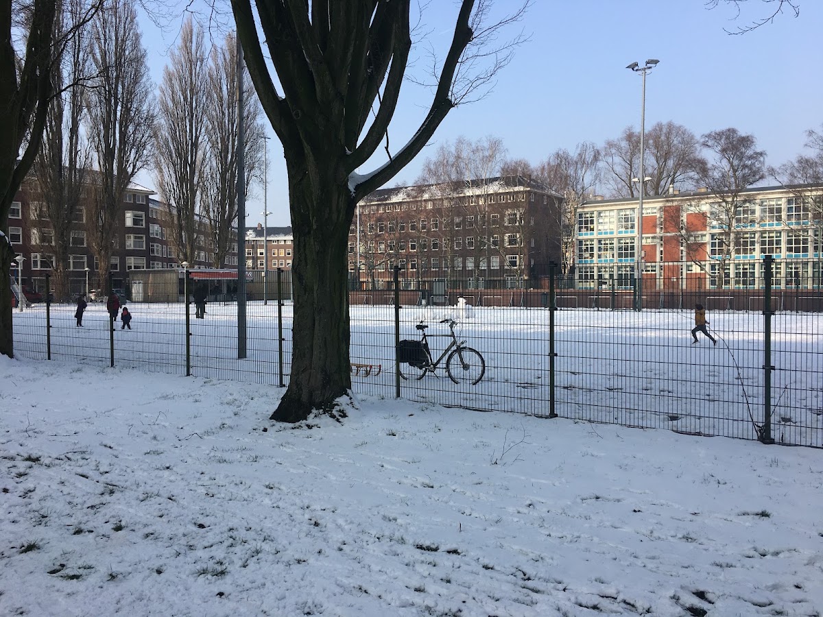 Tennis Vereniging Rivierenbuurt - Photo 3