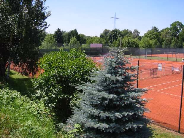 Tennisclub Buchholz - Photo 3