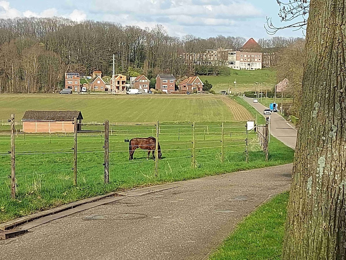 Tennisclub Heidepark - Photo 2