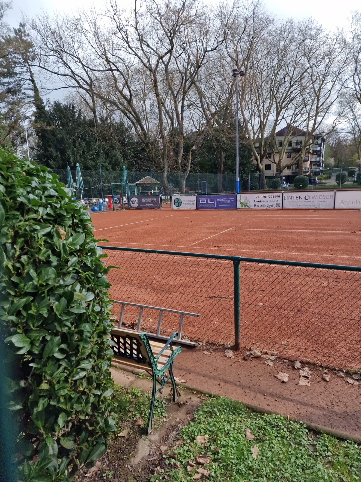 Tennisclub Schellenberg e.V. - Photo 2
