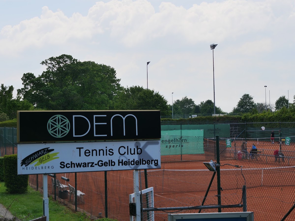 Tennisclub Schwarz-Gelb Heidelberg e.V. - Photo 3