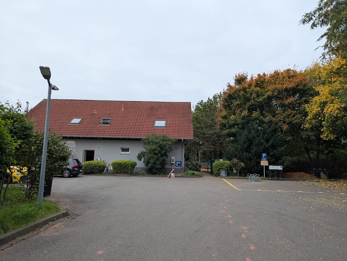 Tennisclub Seestern 1979 e. V. - Photo 2