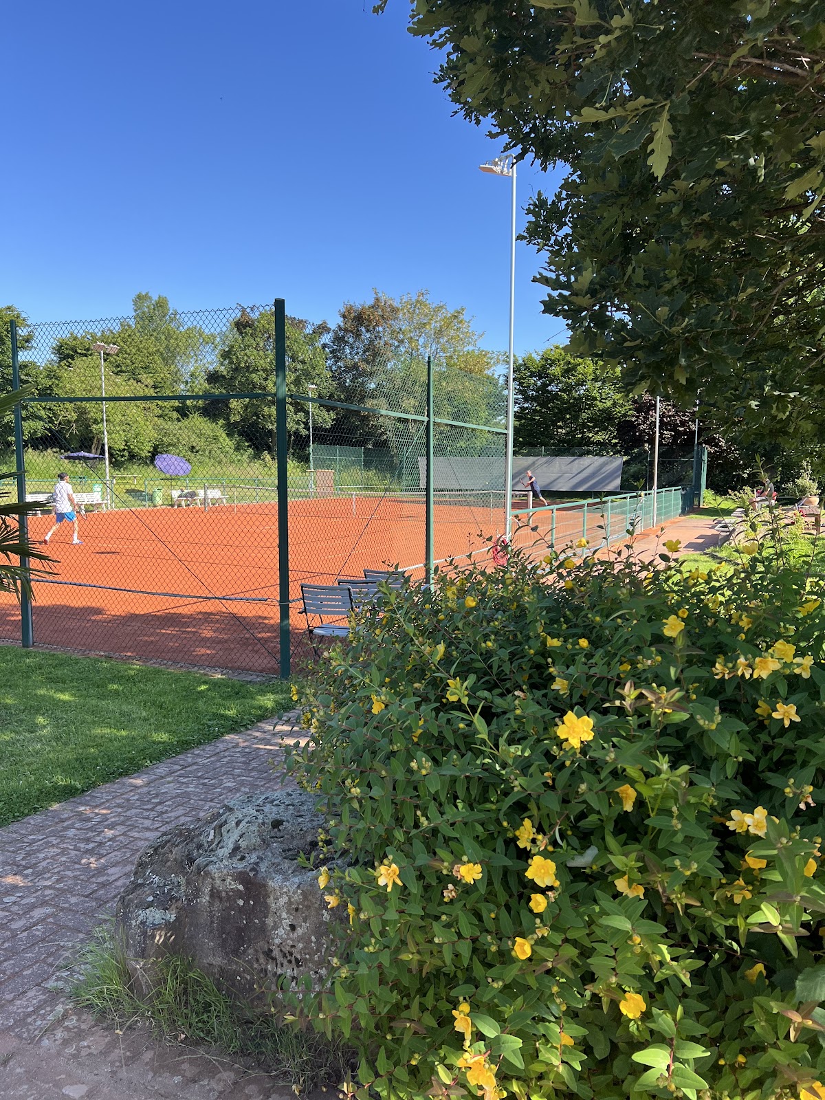 Tennisclub Seestern 1979 e. V. - Photo 3