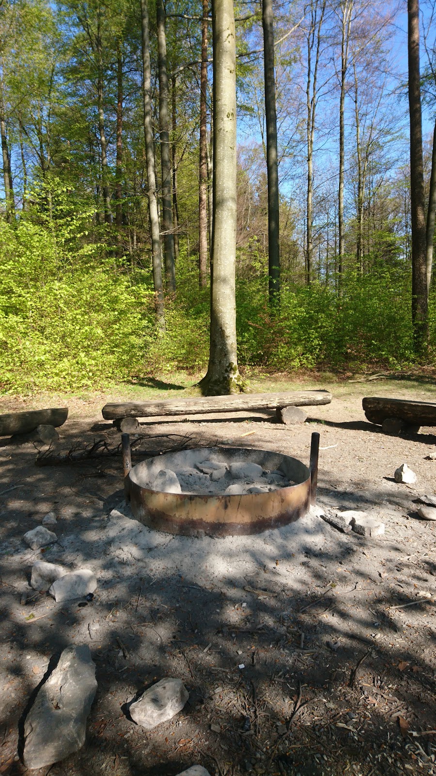 Tennisclub Waidberg - Photo 3