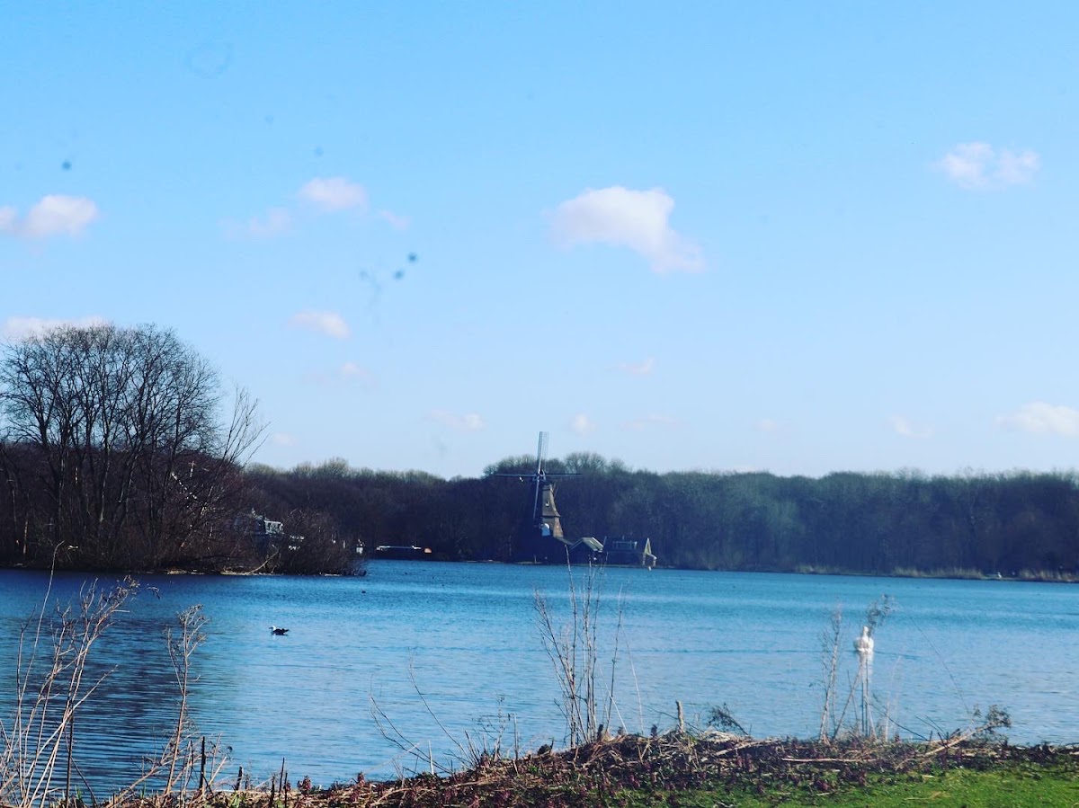 Tennispark Kralingen - Photo 2