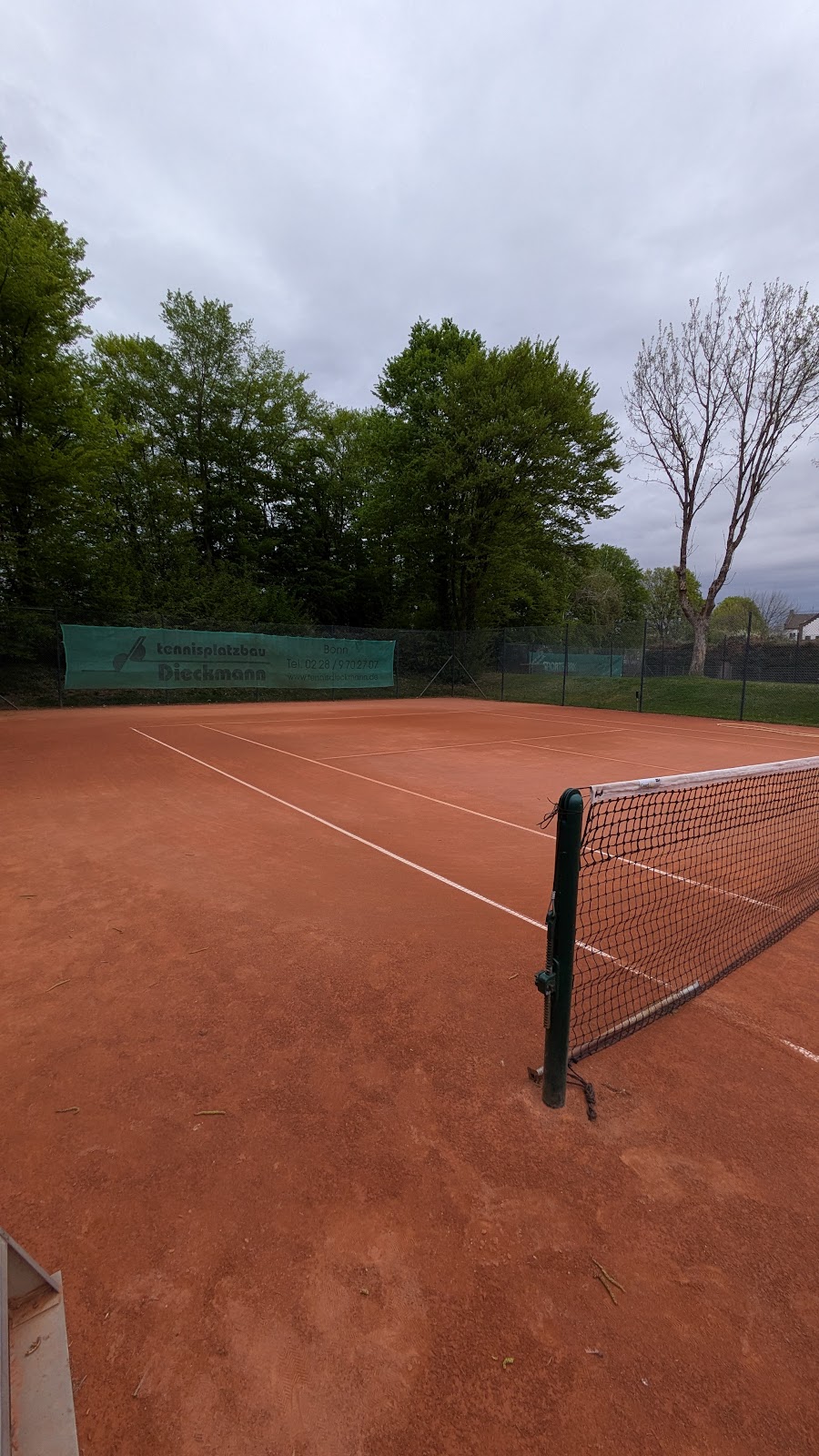 Tennisverein Grün Weiß Dransdorf e.V. - Photo 2