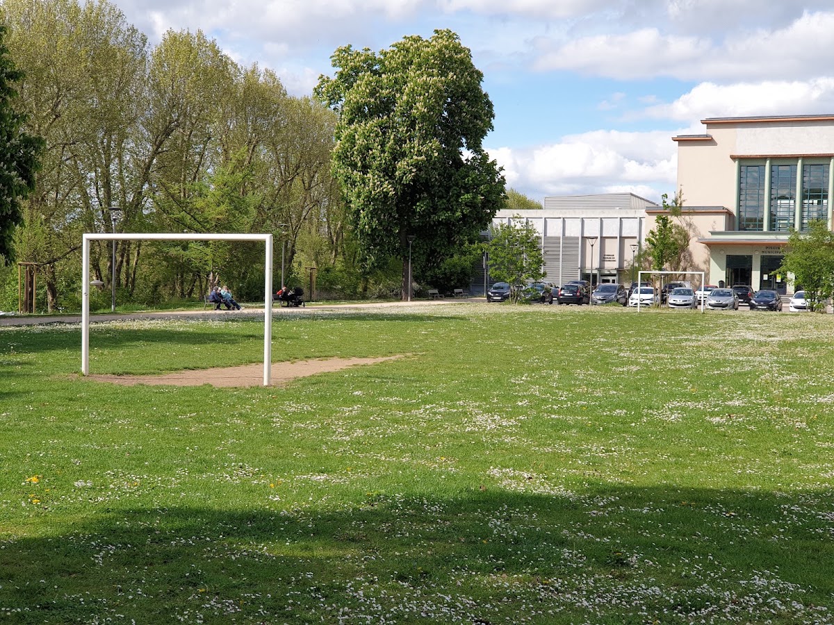 Terrain de Football des Îles - Photo principale