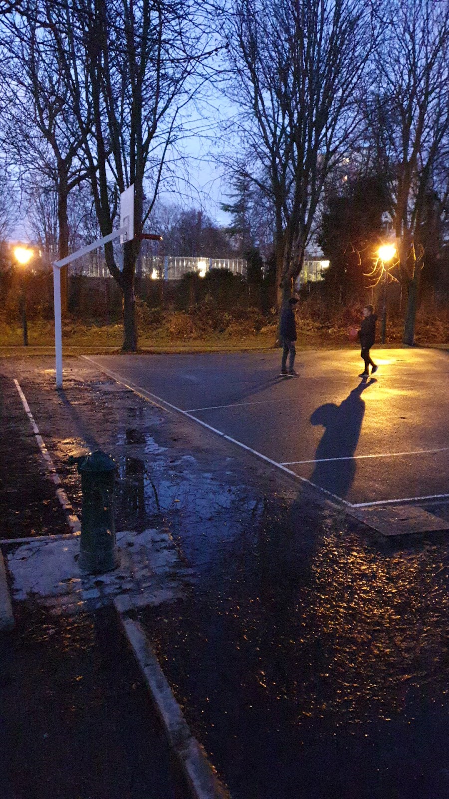 Terrain de Football du Parc de la Chevrette - Photo principale