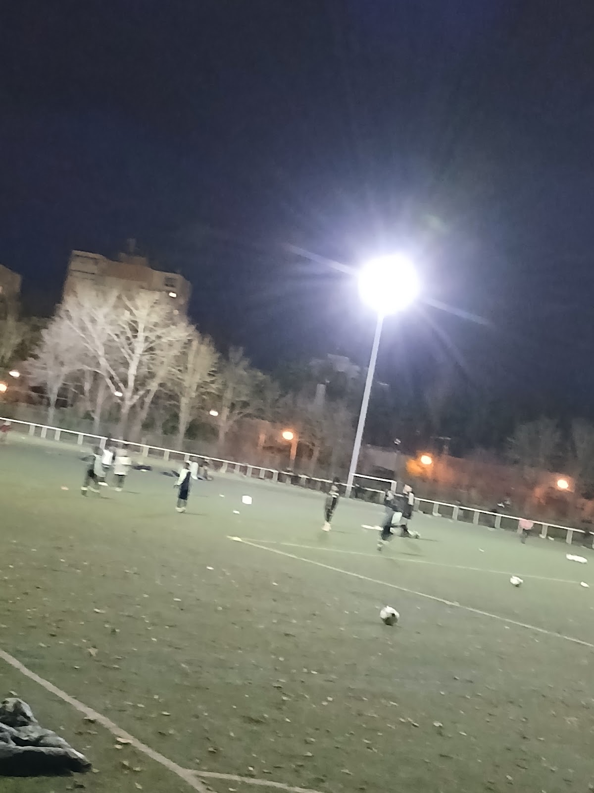 Terrain de Football du Parc de la Chevrette - Photo 2