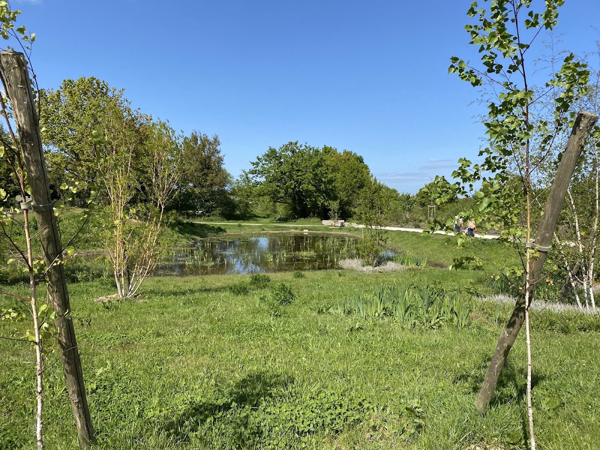 Terrain de Tennis Beauregard