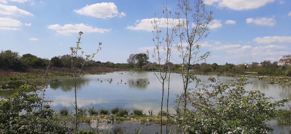 Terrain du Lac - Photo 1