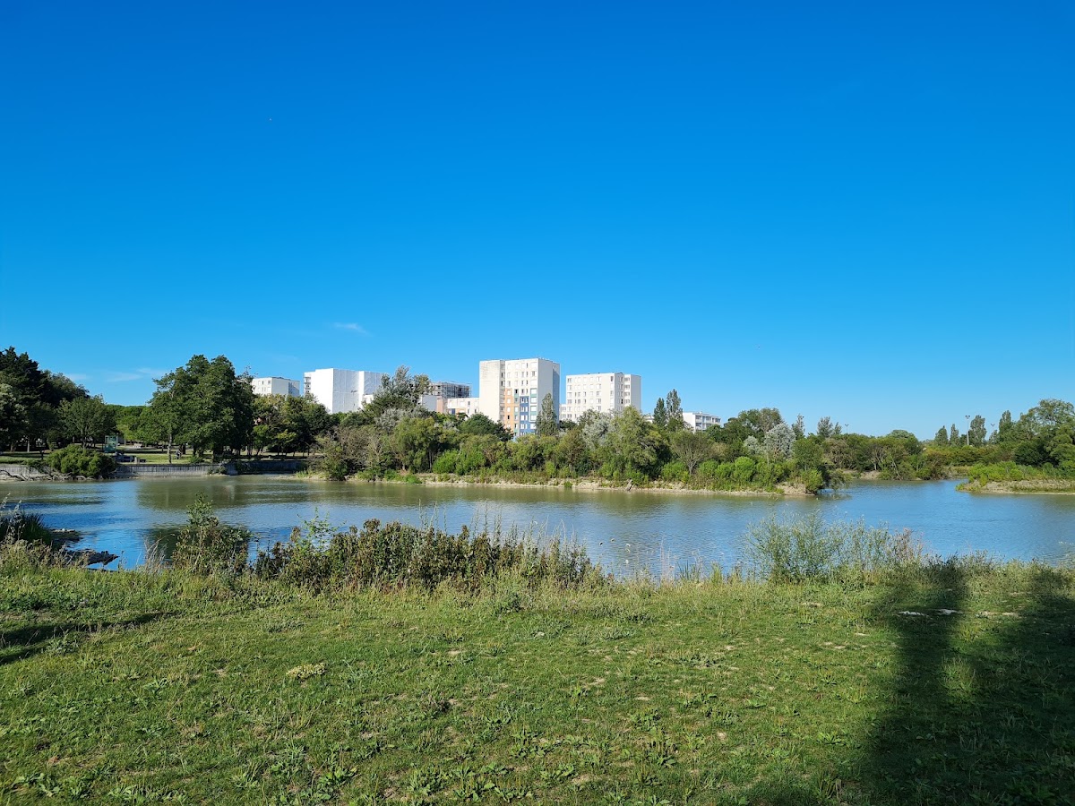 Terrain du Lac - Photo 3
