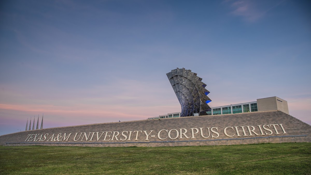 Texas A&M University-Corpus Christi - Photo 3
