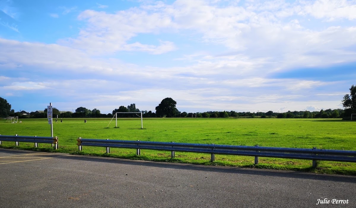The Allan Barker Football Field - Photo 2