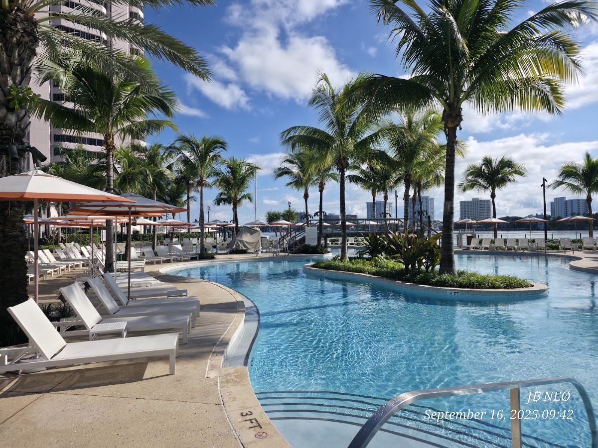 The Boca Raton - Photo 3