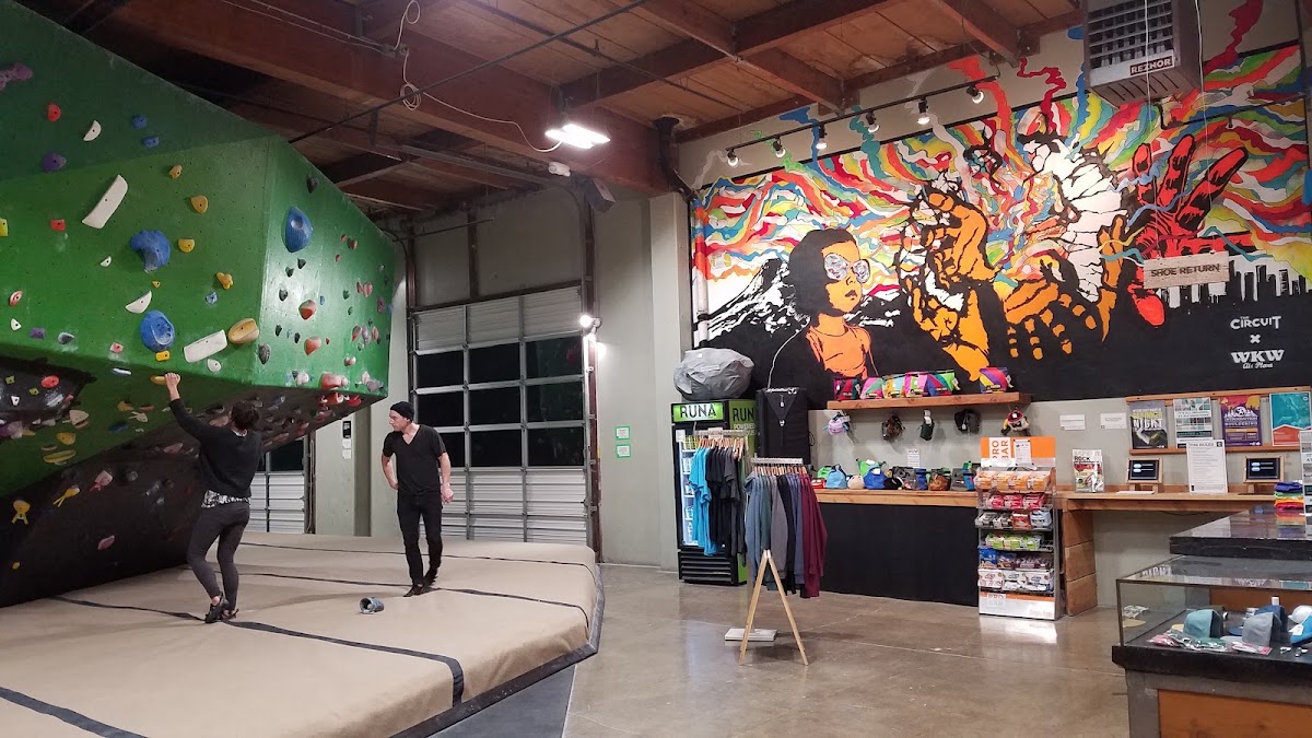 The Circuit Bouldering Gym SW - Photo 3