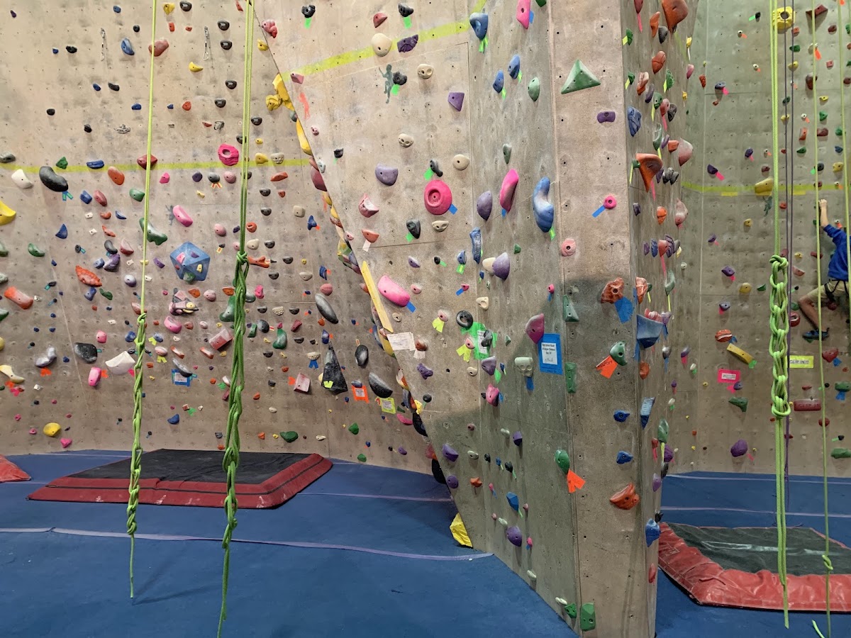 The Climbing Center - Photo 2