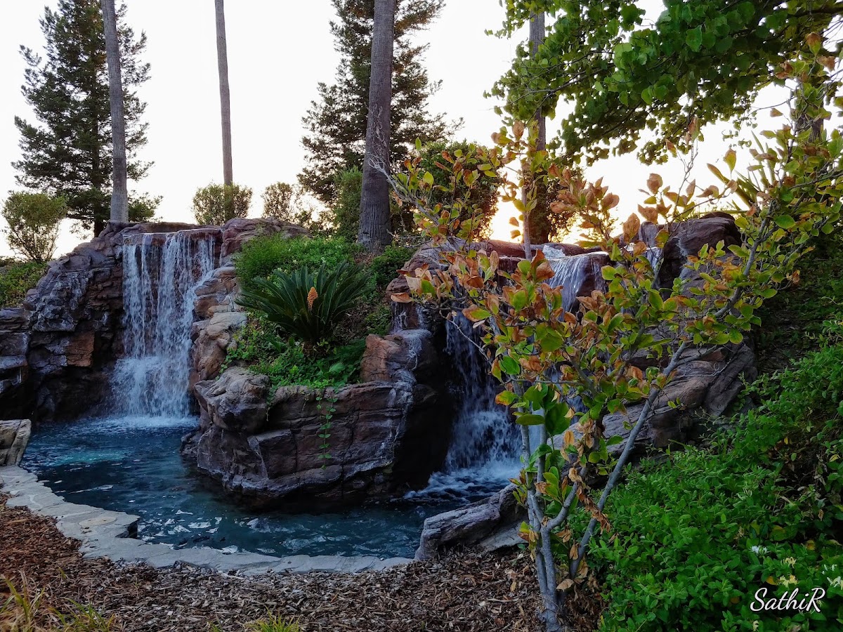 The Club at Natomas Park - Photo 3