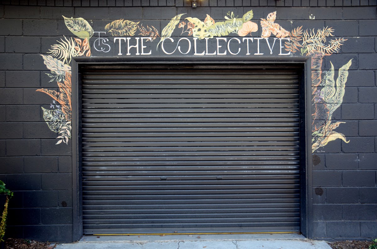 The Collective Savannah - Photo 3