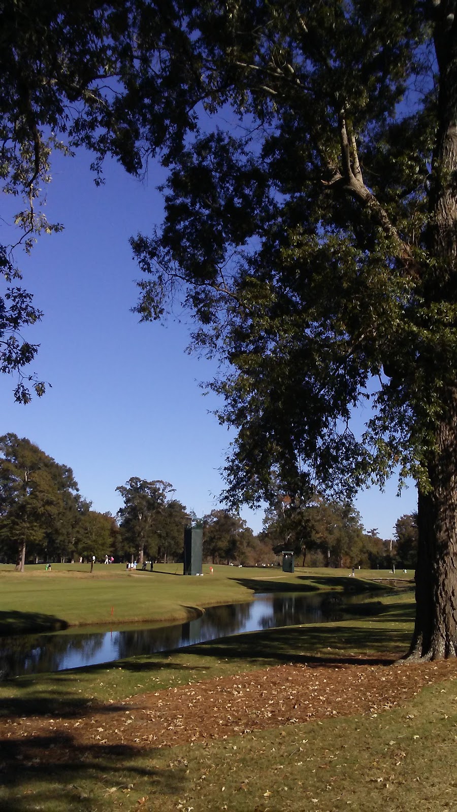 The Country Club of Jackson - Photo 3