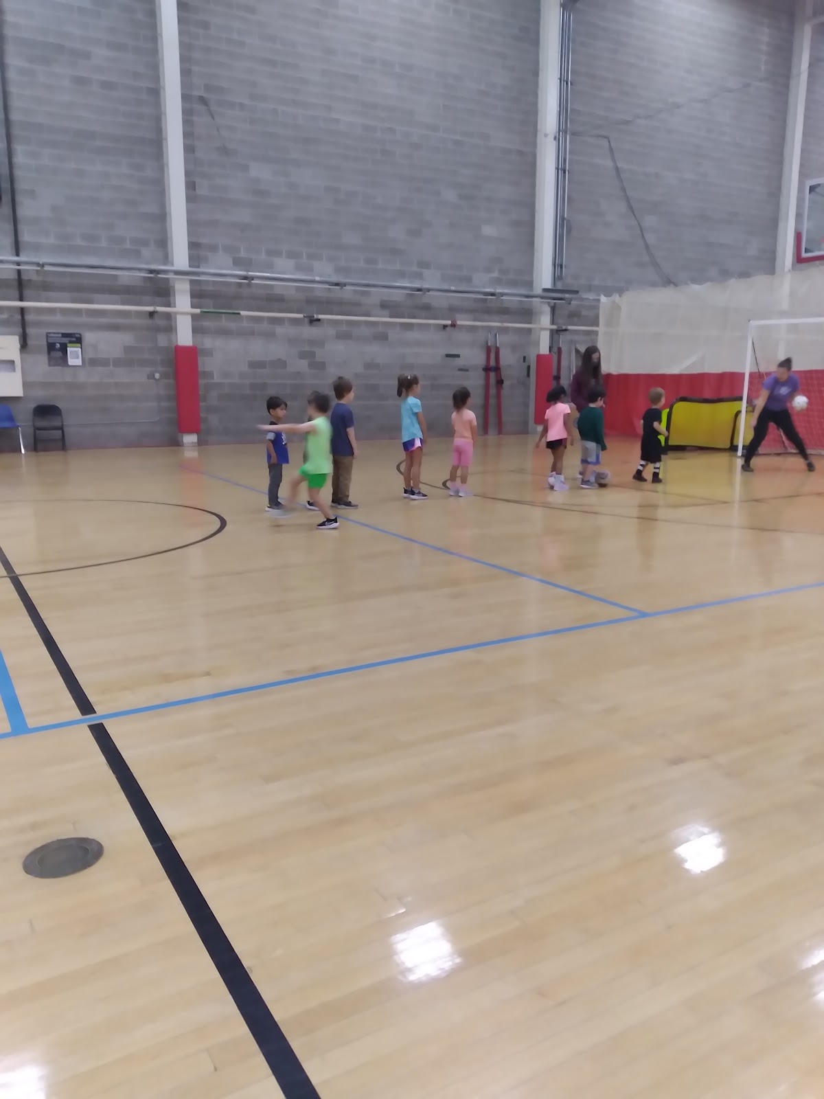 The Courts in Beaverton - Photo 2