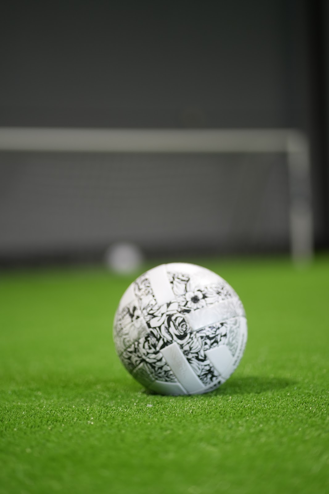 The Fitballer - Photo 3