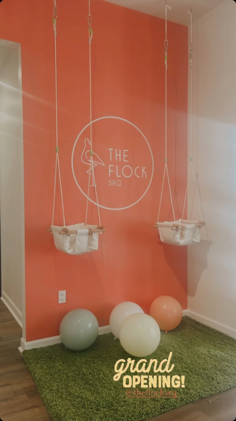 The Flock SRQ - Photo 3