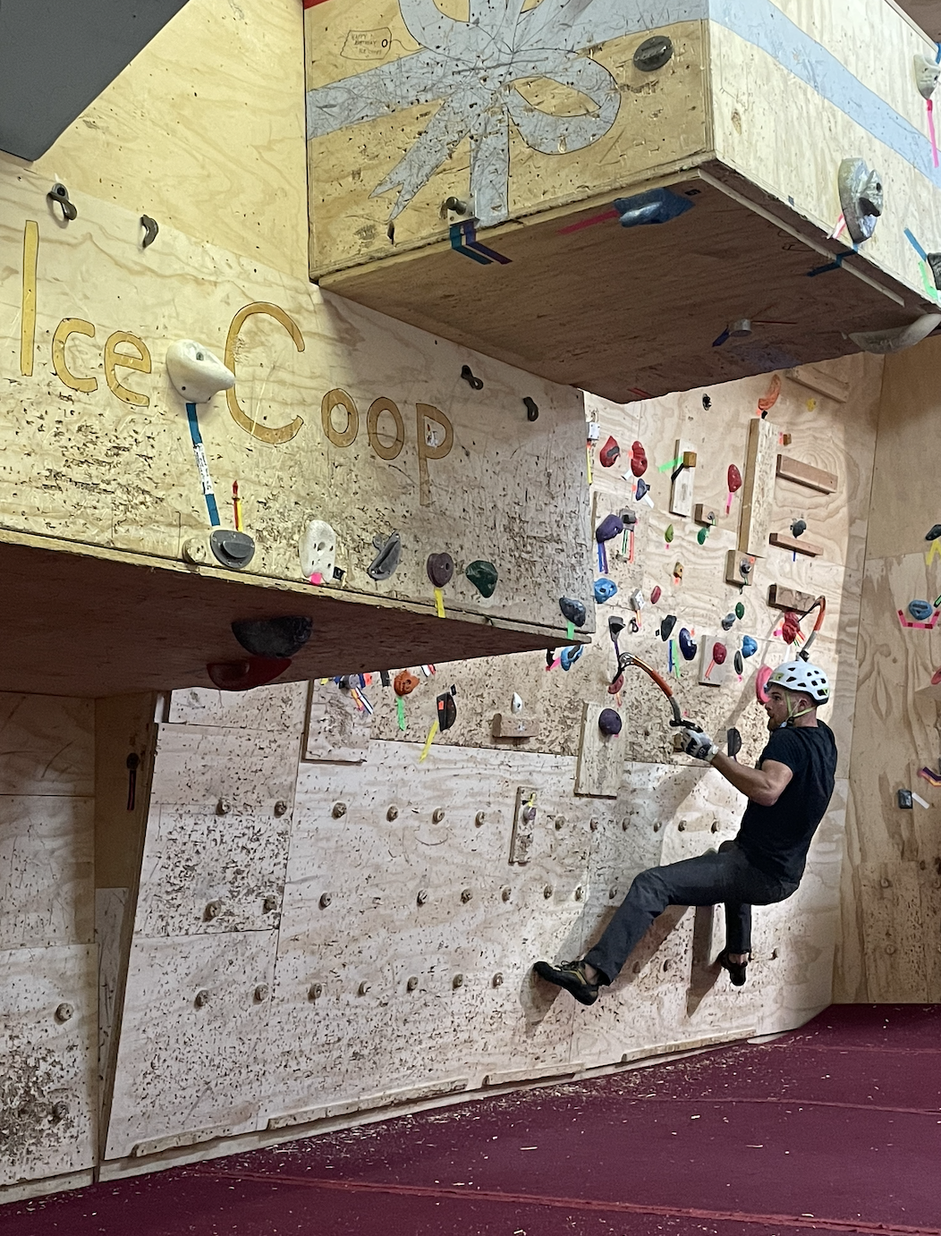The Ice Coop - Photo 2
