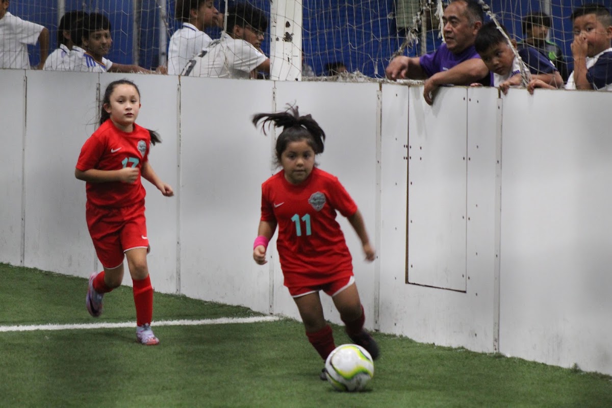 The indoor soccer zone - Photo 3