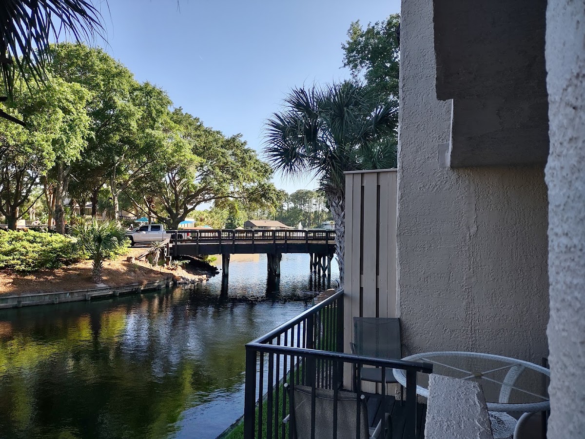 The island Club - Photo 1