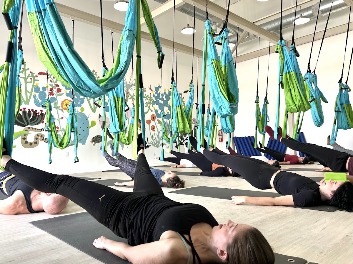 The Movement Temple | Pilates & Yoga Trapeze - Photo 2