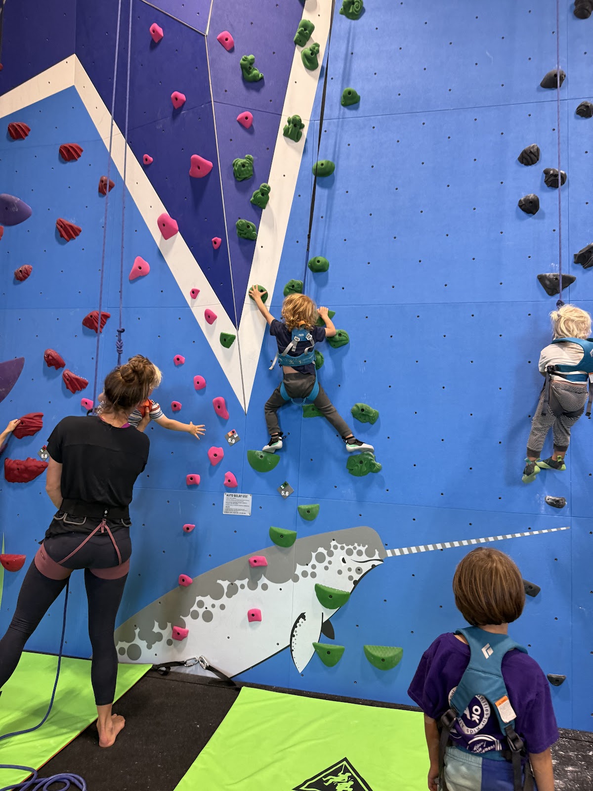 The Pad Climbing - Santa Barbara - Photo 3