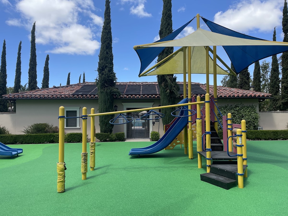 The Palm Club - Photo 1