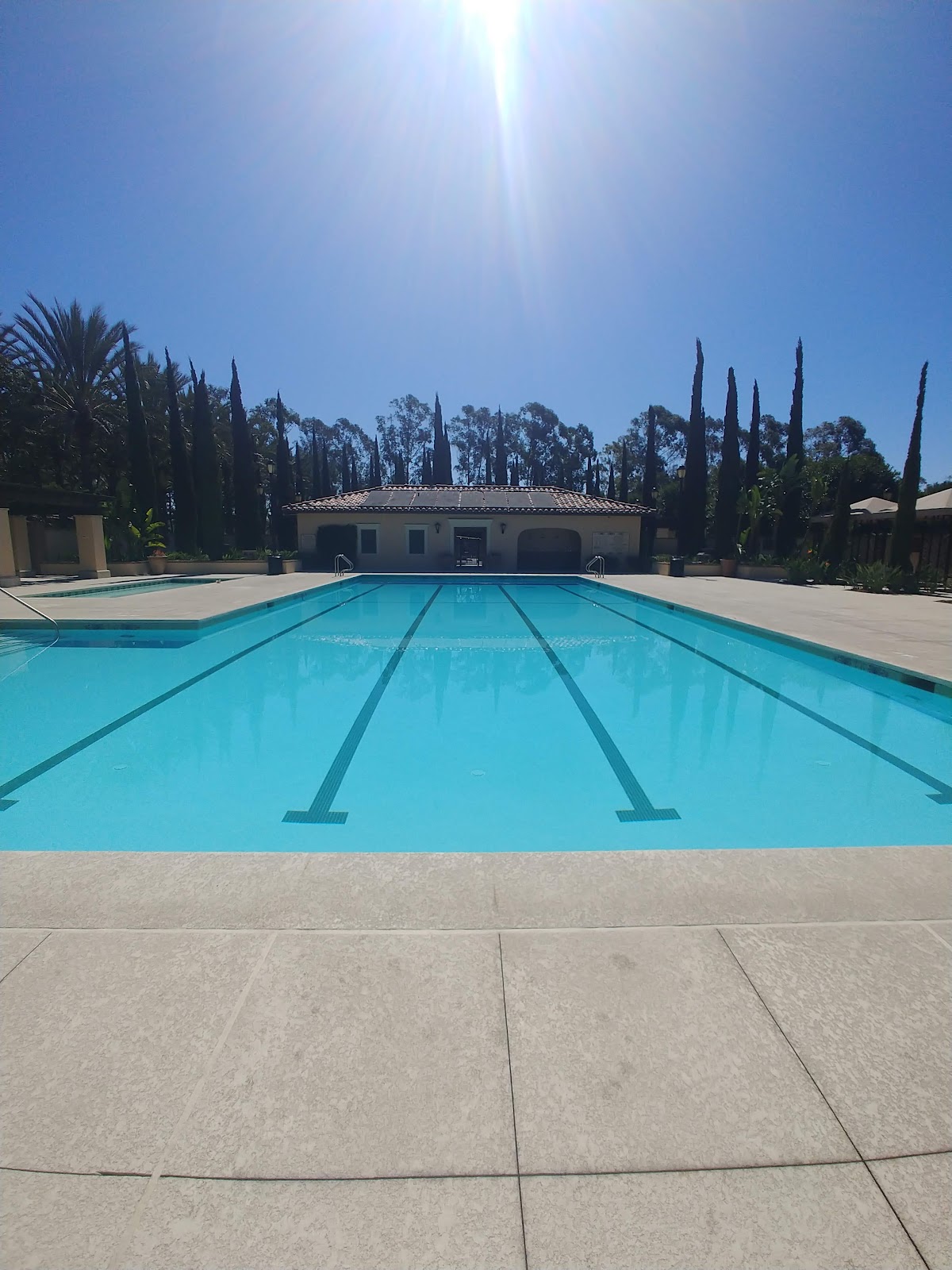 The Palm Club - Photo 2