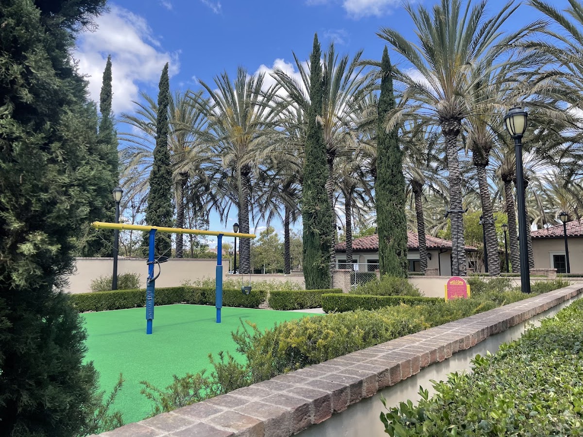 The Palm Club - Photo 3