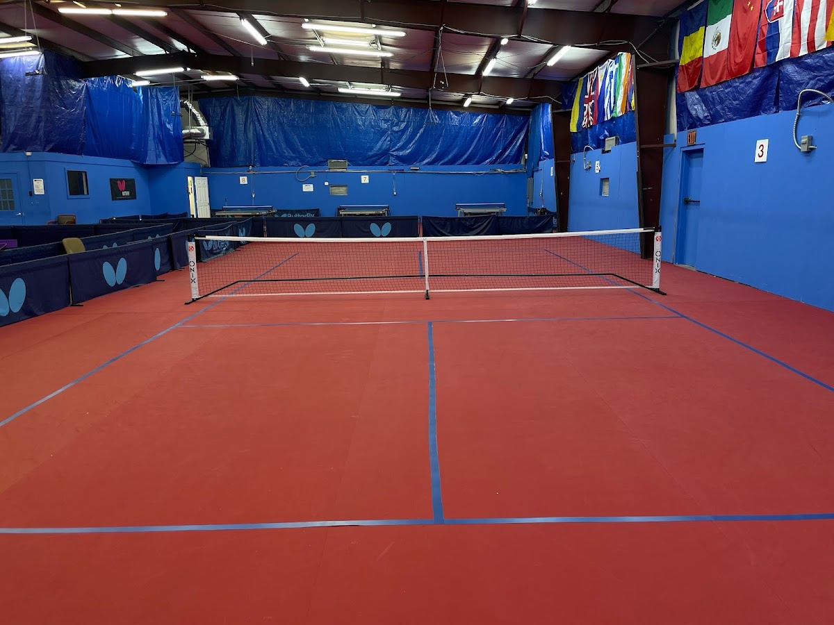 The Pickleball Court at San Antonio Table Tennis Club - Photo 3