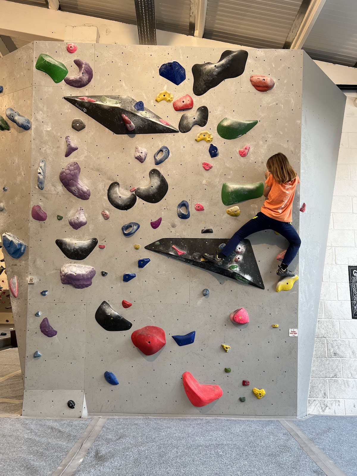 The Red Goat Climbing Wall - Photo 2