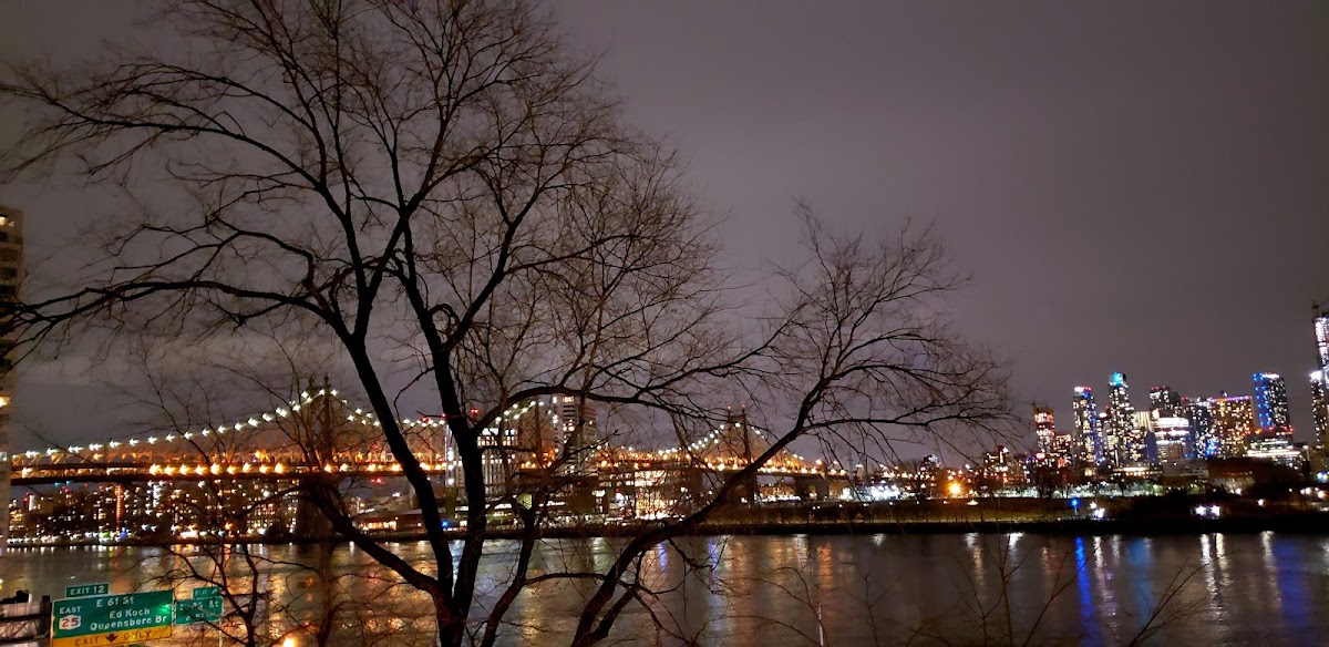 The River Club of New York - Photo 3