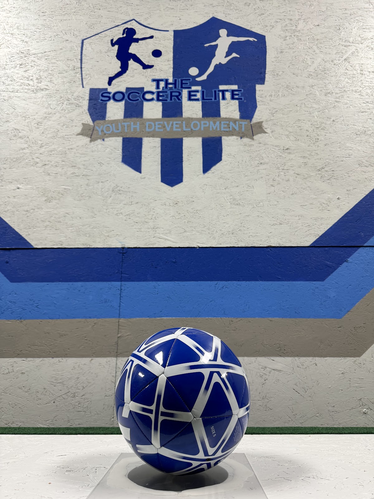 THE SOCCER ELITE Youth Development - Photo 3